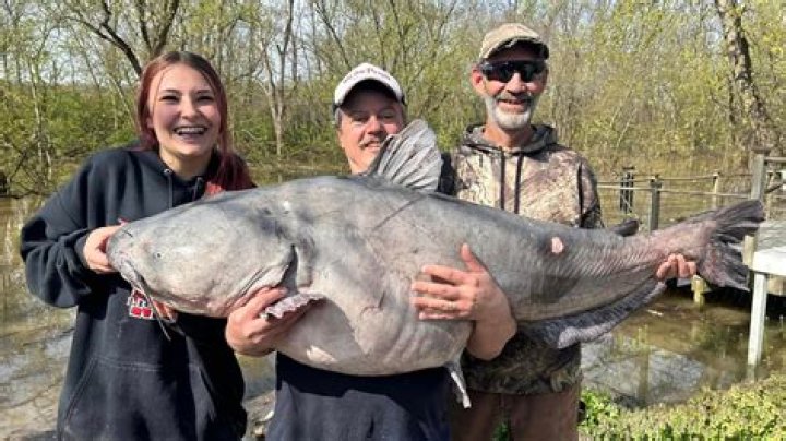 'It's a monster!' Teen catches 108-pound catfish near Spanish Lake