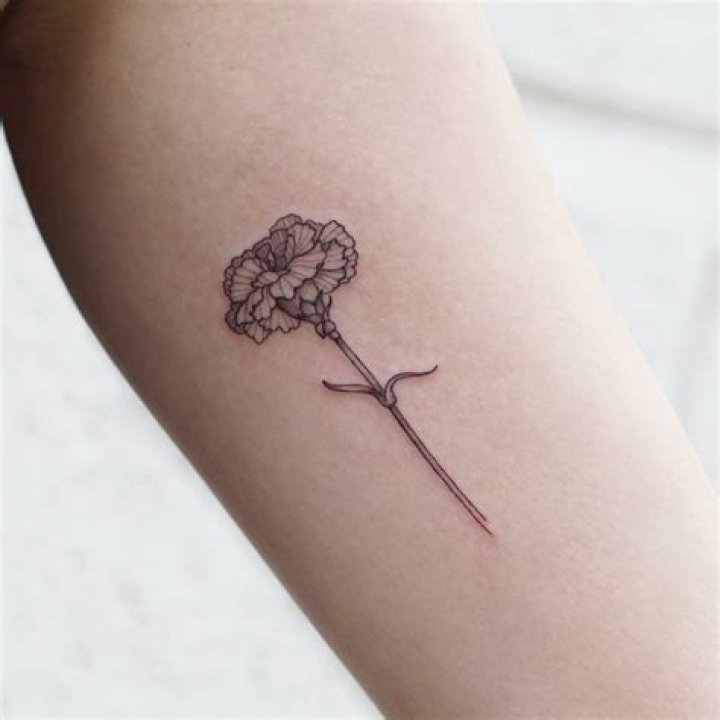 11 Carnation Tattoo Ideas For Your Next Floral Body Art