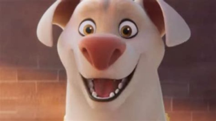 12 Animated Movies Like DC League Of Super-Pets You Should Watch Next