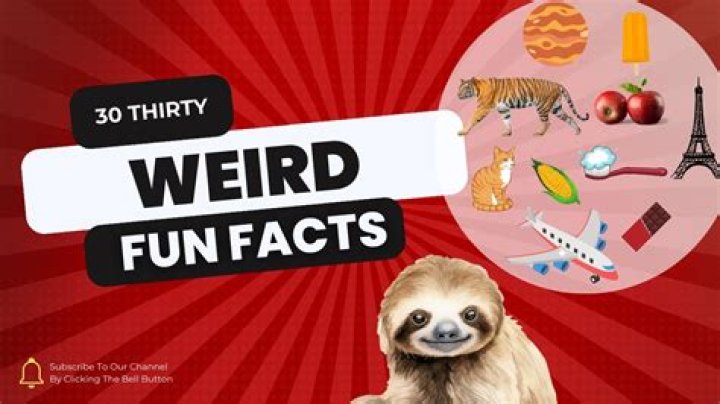 12 Weird Things You Didn't Know About Your Cat