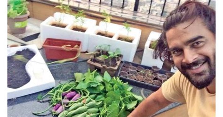 13 PHOTOS and VIDEOS that will take you inside R Madhavan's Mumbai home with a terrace garden