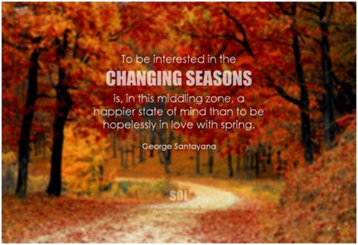 14 Inspirational Quotes About Changing Seasons To Get You Ready For Fall