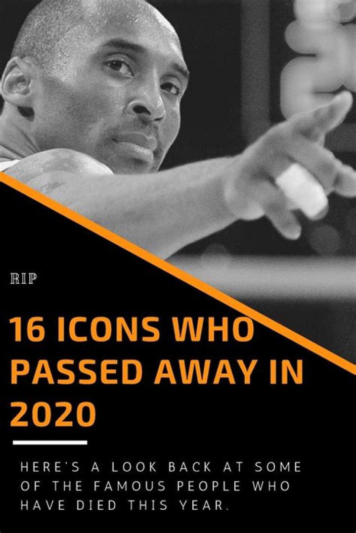 16 Icons Who Passed Away in 2020