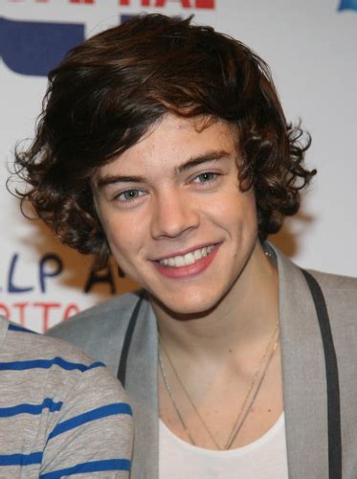 17+ Iconic Harry Styles Hairstyles That Stole the Spotlight