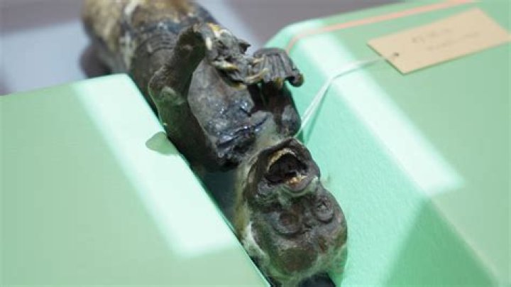 300-year-old ‘mermaid mummy' being probed by scientists