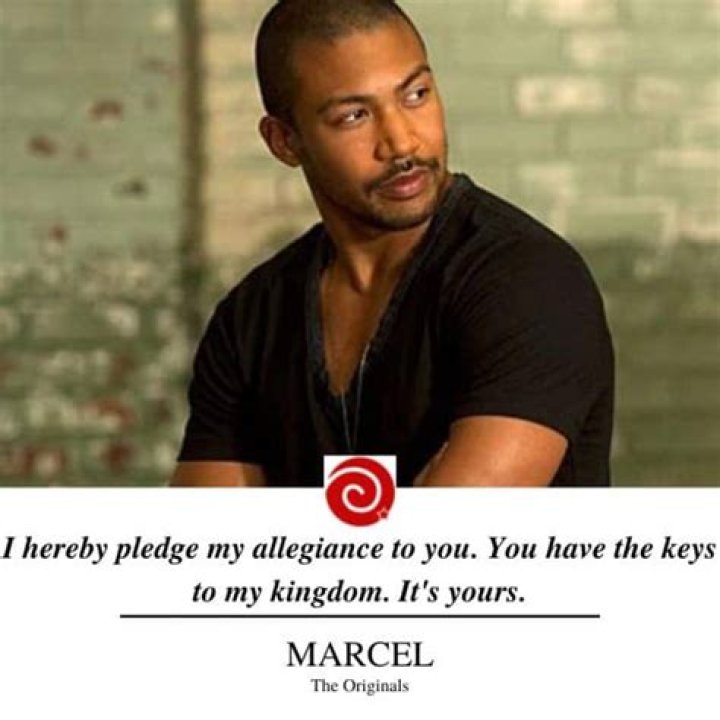45 Quotes From The Originals