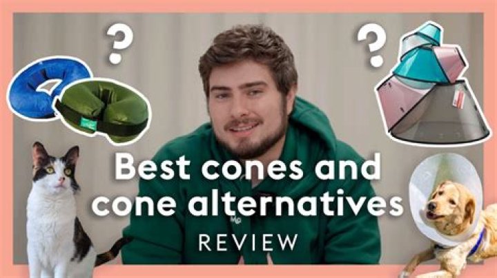 5 Cat Cone Alternatives