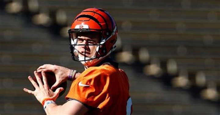 5 Memes Bengals Fans Will Love