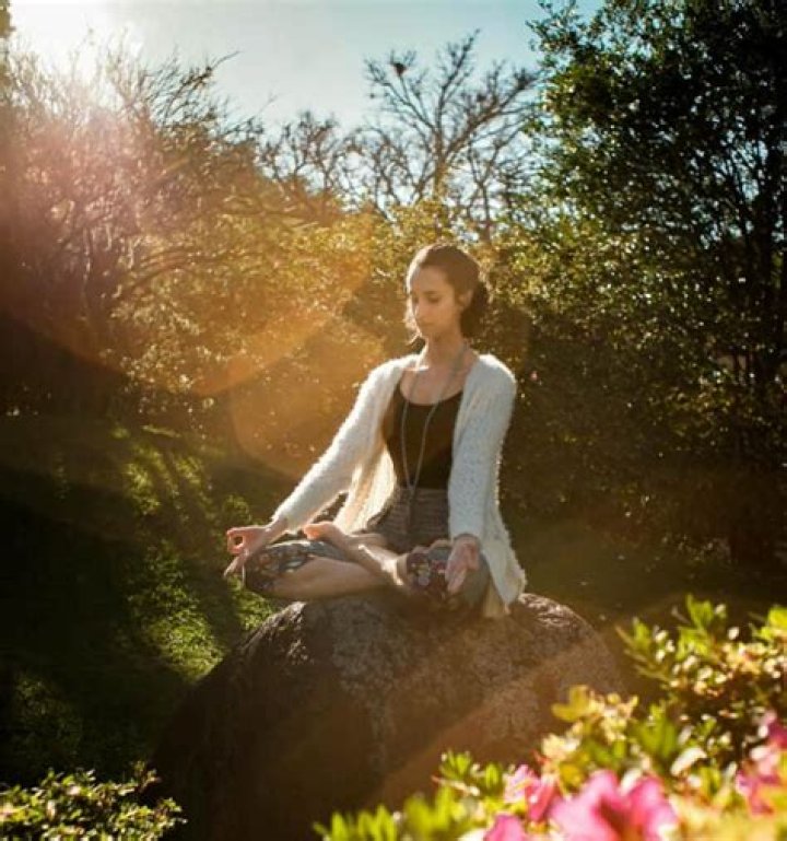 80+ Powerful Mindfulness Quotes to Embrace the Present