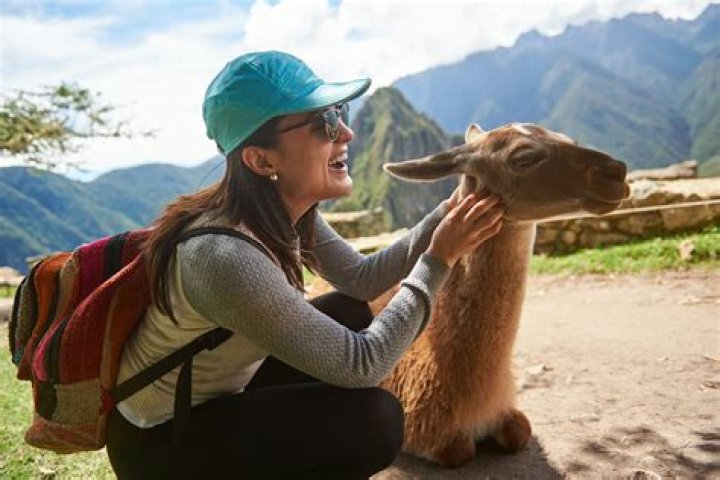 9 Animals That Can Connect With Humans