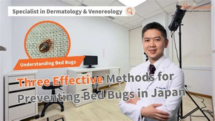 9 Items For Preventing Bed Bugs While Traveling That Will Help Protect You & Your Belonging