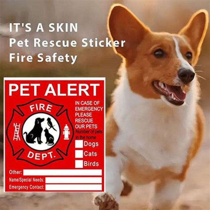 A Pet Alert Sticker Could Save Your Pet's Life in a Fire