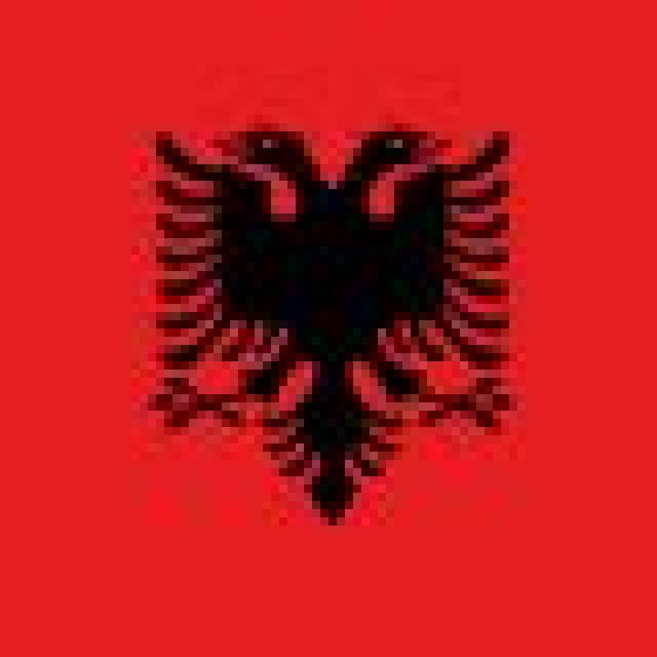 Albania - Club profile | Transfermarkt