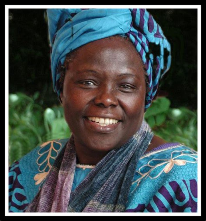 Alexi Ashe Birthday: Celebrating The Life And Achievements Of A Remarkable Woman
