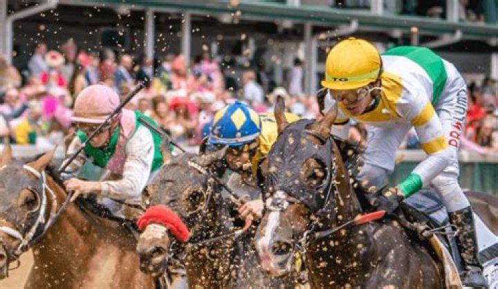 Analysis of Leading Horses and Jockeys in 2023