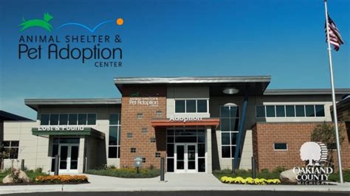 Animal Welfare Center now open for adoptions