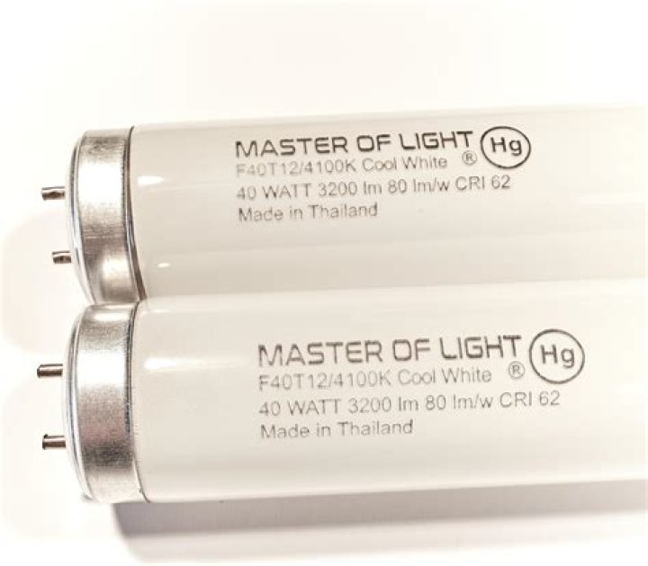 Are led bulbs fluorescent