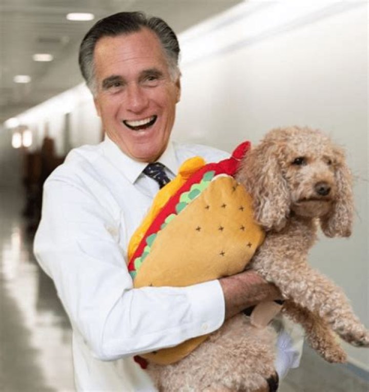 Are Mitt Romney and Ronna McDaniel Related? Career, Family and More
