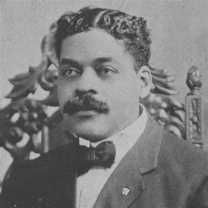 Arturo Alfonso Schomburg - Facts, Life & Collection