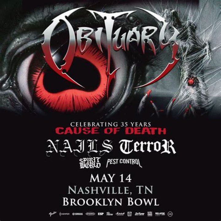 Austin Stefano Obituary, Cause of Death
