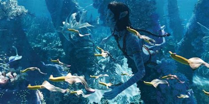 Avatar: The Way of Water: Where Is Vin Diesel?