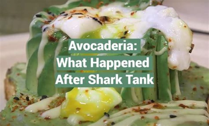 Avocaderia Shark Tank Net Worth 2024