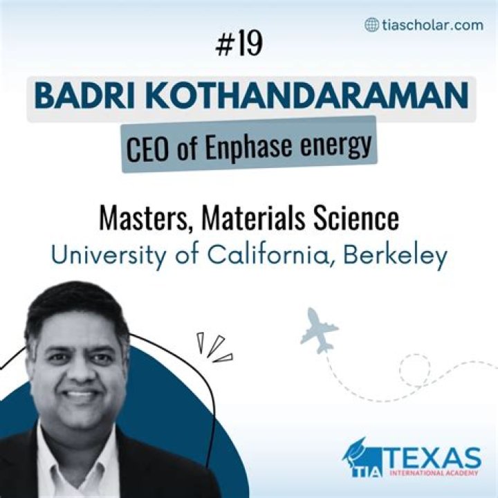 Badrinarayanan Kothandaraman Net Worth (2024) | wallmine