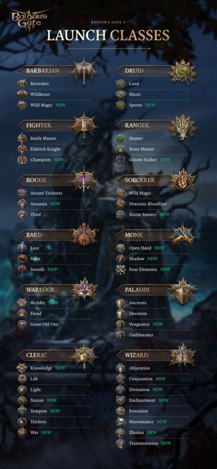 Baldur's Gate 3 classes | What's the best class and subclass?