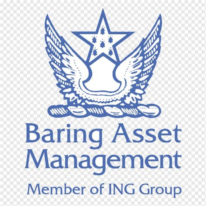 
Baring Asset Management LLC (Boston)
