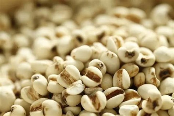 Barley Glycemic Index: Nutrition Facts, Weight Loss, Health Benefits