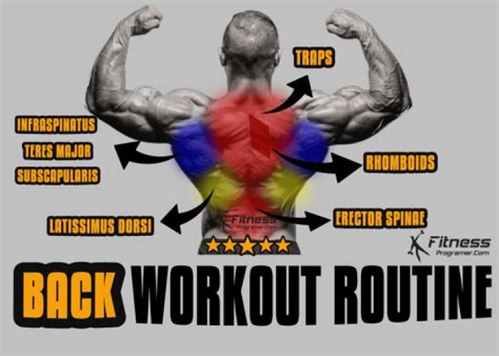 Best Back Workout Routines - AskMen