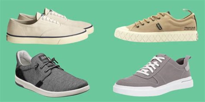 Best Canvas Sneakers for Men