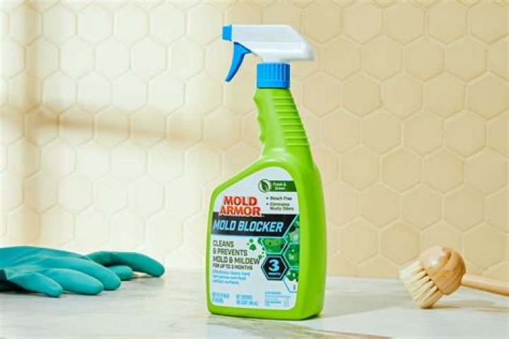 Best mould removers 2023 to keep your home fungus-free