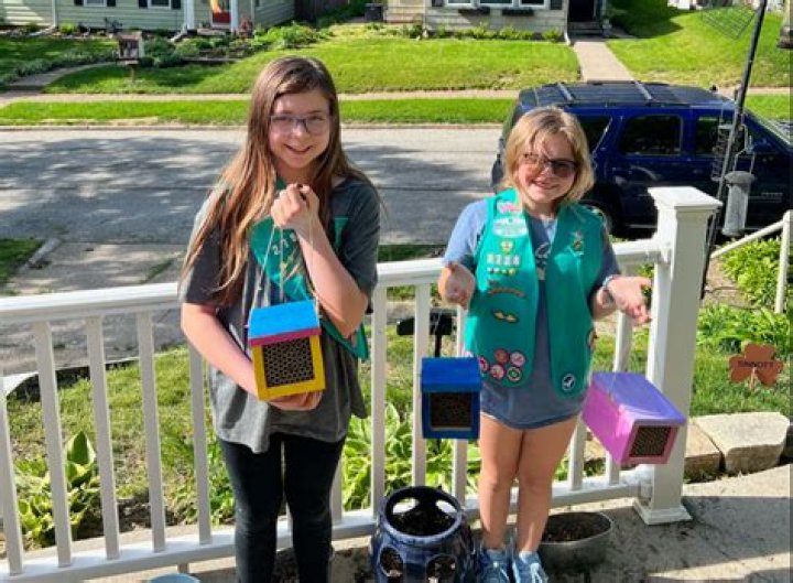 Bettendorf Girl Scouts build bee houses and plant pollinators, earn award