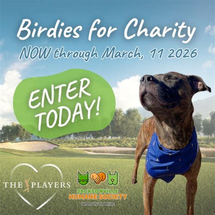 Birdies for Charity pledges help charities help others