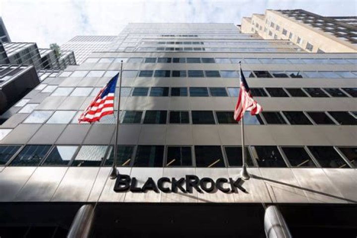 BlackRock CEO Net Worth: A Comprehensive Analysis