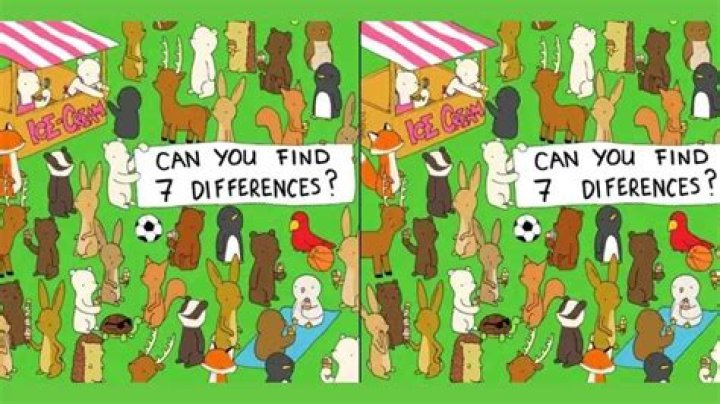 Brain Teaser: Find All 3 Differences Between These Two Images In 40 Secs