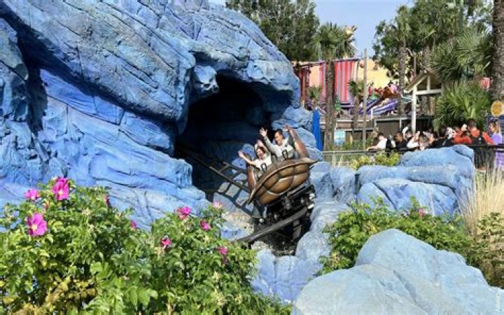 California Earthquake Temporarily Closes Rides at Disneyland