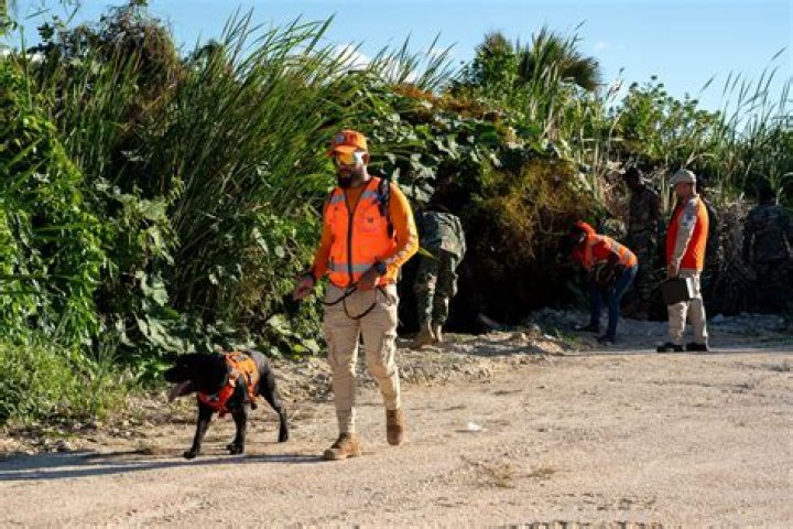 California Police Initiate Search for Missing American Veteran and His Dog Following Labor Day Journey.