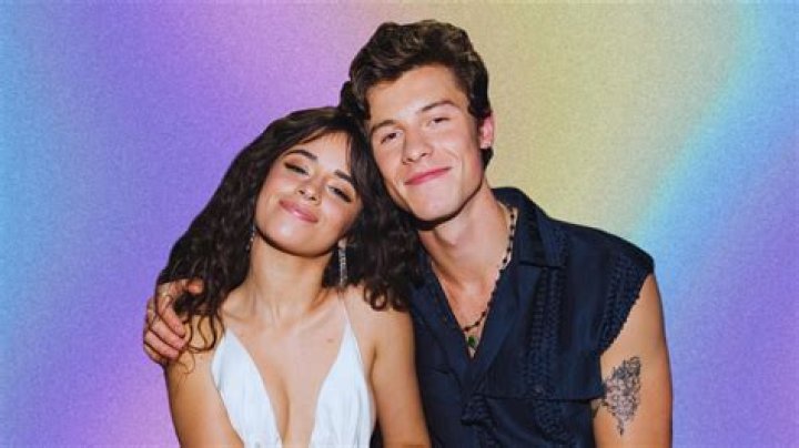 Camila Cabello supports Shawn Mendes’ new music with ‘Ur crazy wildcat’ comment and has fans divided