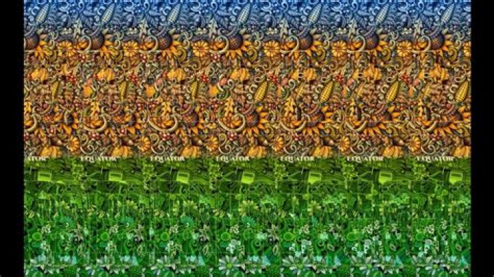 Can you eye-spy the shark in this Magic Eye image? Experts reveal how the fun puzzles work - and why not all people can spot the hidden 3D images