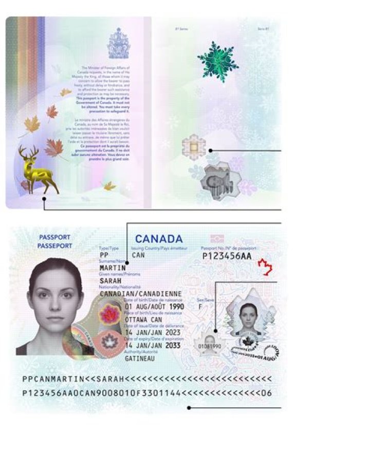 Carl Lariviere: Who Is He? Bio, Wiki & Age Of Snowflake Mountain Star
