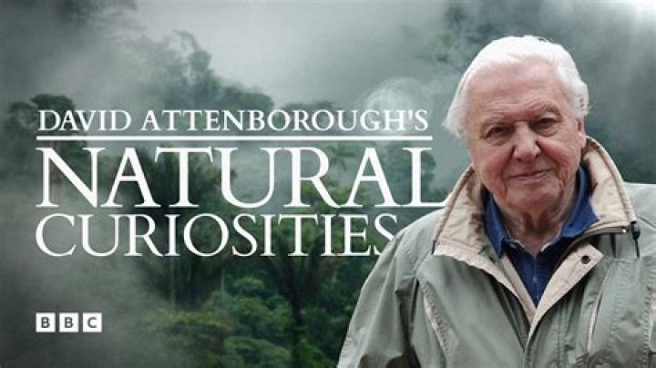 Celebrities ask David Attenborough their nature questions