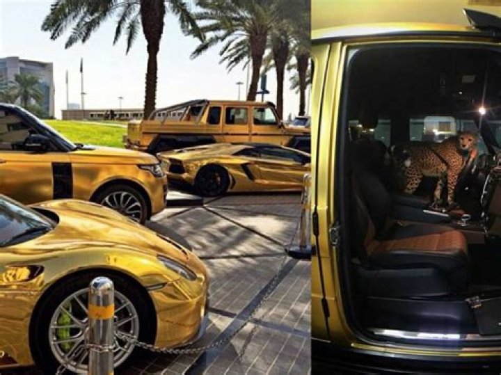 Check out their gold-plated supercars, mansion, trillion-dollar net worth