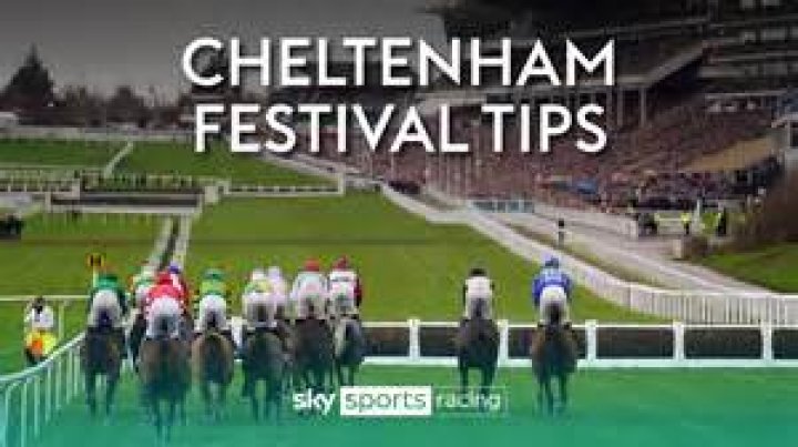 Cheltenham Festival tips: Novices' Chase trends - we help you find the winner of the race live on ITV at 4.50pm today