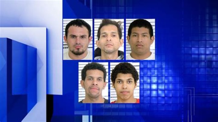 Chicago men face charges after Walcott carjacking