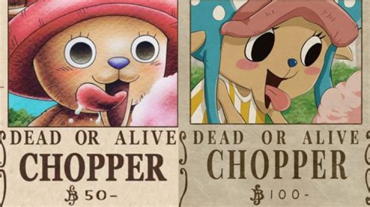 Chopper’s New Bounty Revealed: It Is Ten Times Higher Than The Previous One!