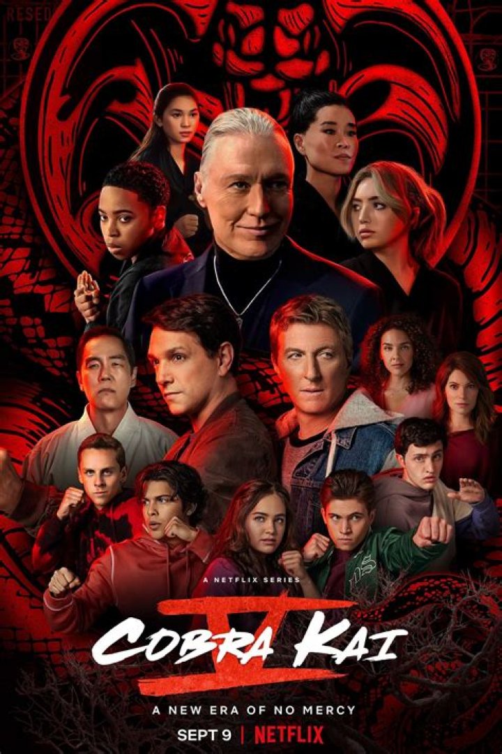 Cobra Kai Renewed by Netflix for Season 5
