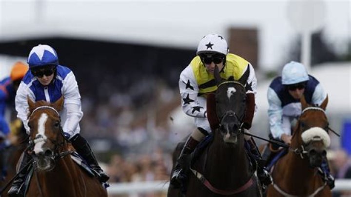 Commanche Falls a 25-1 stunner in Stewards' Cup at Goodwood but trainer watches on 300 miles away