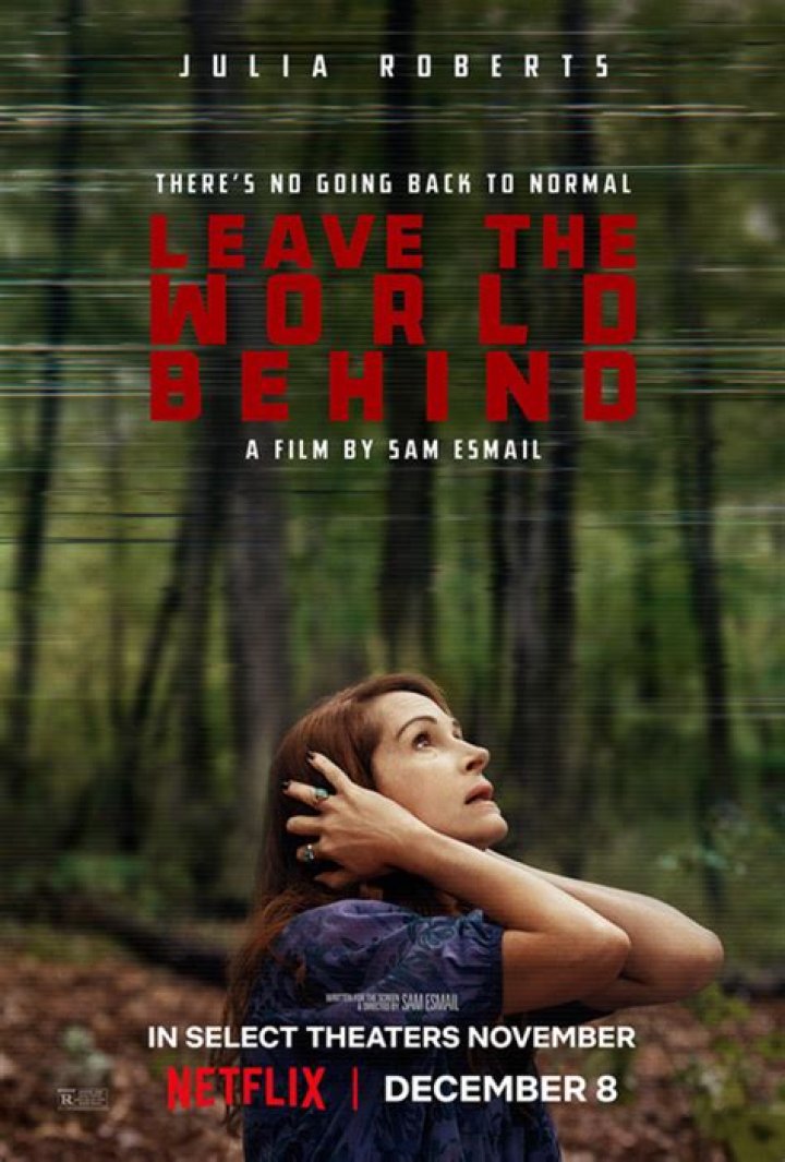 Cook review: ‘Leave the World Behind’ disappoints at the end